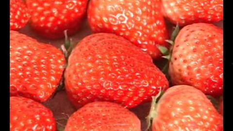 国产草莓视频,视频带你领略田园风光与美味果实
